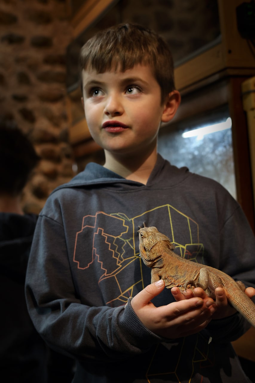 logan and dragon
